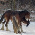 Spielkinder